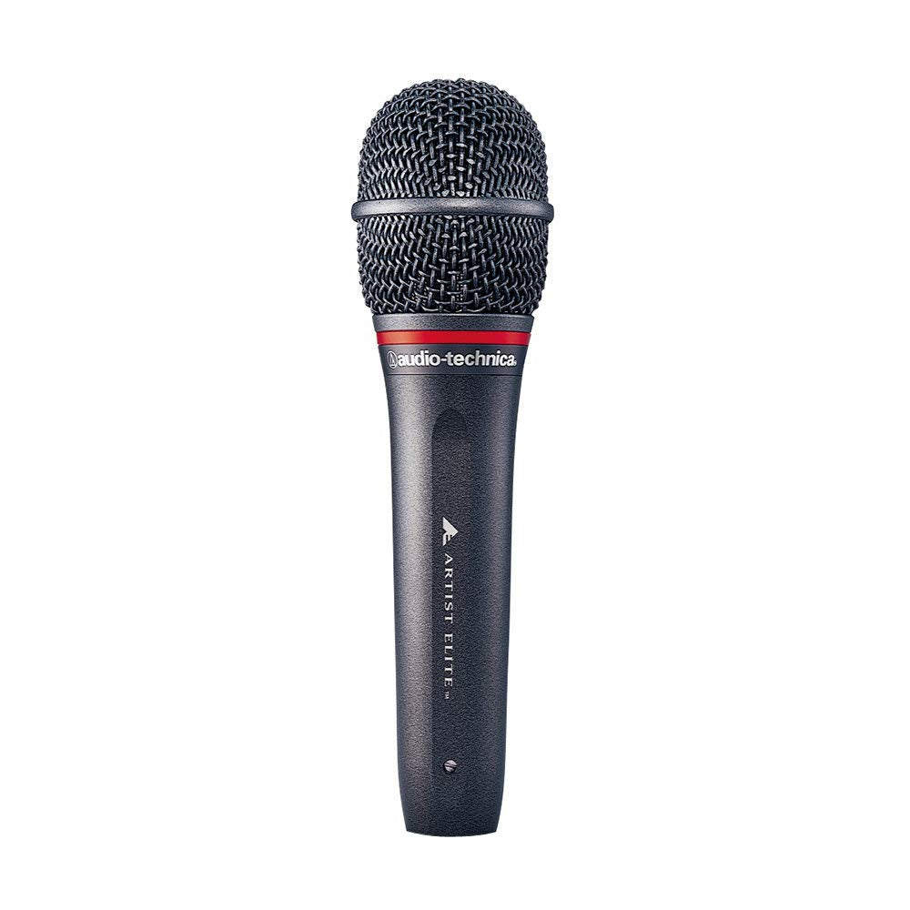 Audio-Technica Microphone, XLR, Black (AE6100)