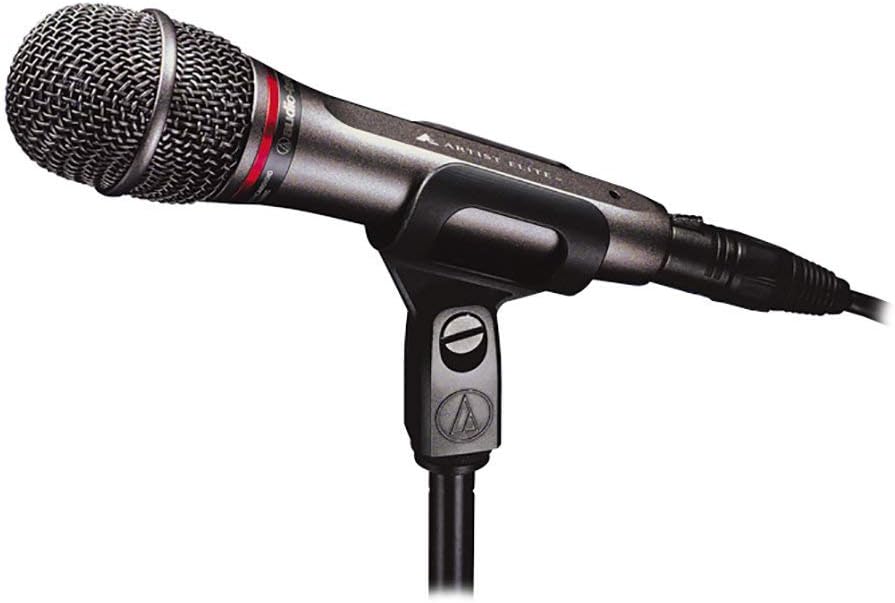 Audio-Technica Microphone, XLR, Black (AE6100)